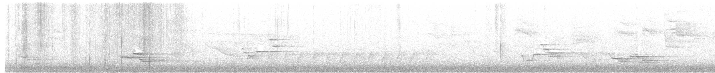 Walddrossel - ML55370001
