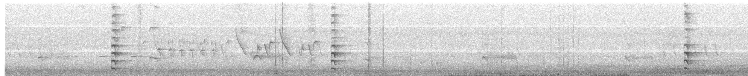 Common Gallinule - ML55376161