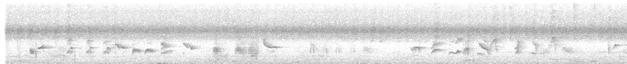 Orange-headed Thrush - ML553767781