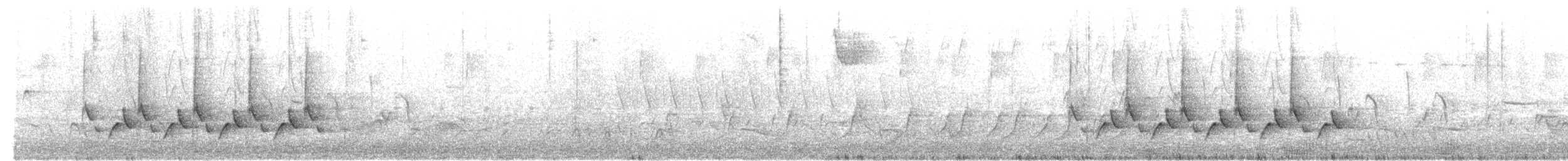 Carolina Wren - ML553795551