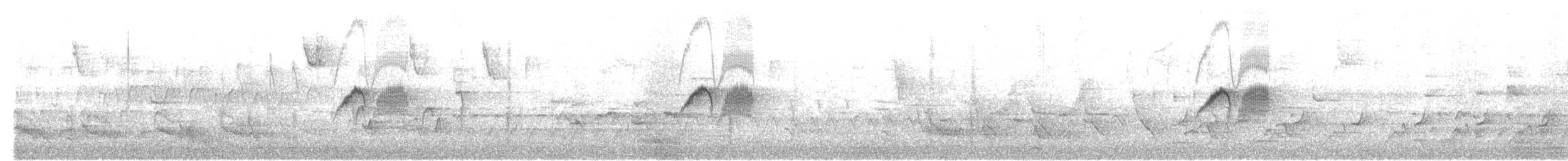 פיבי מזרחית - ML553803181