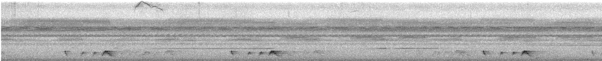 Rostnachtschwalbe - ML553806261