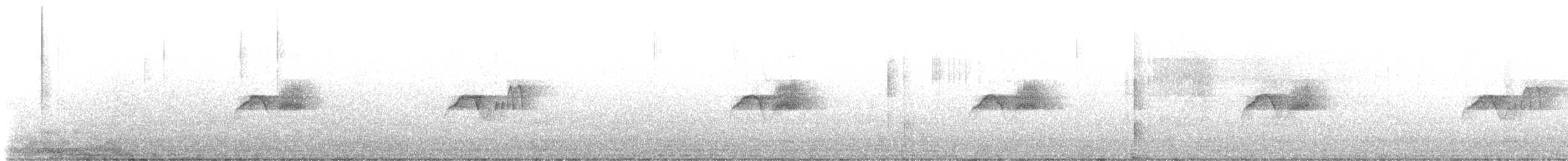 Moucherolle phébi - ML553885131