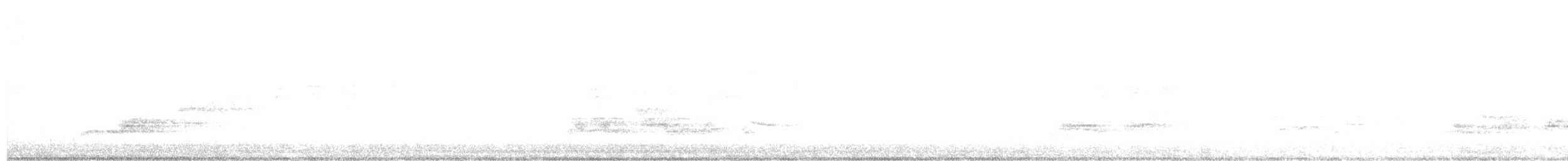 Tasmanerddrossel - ML553921981