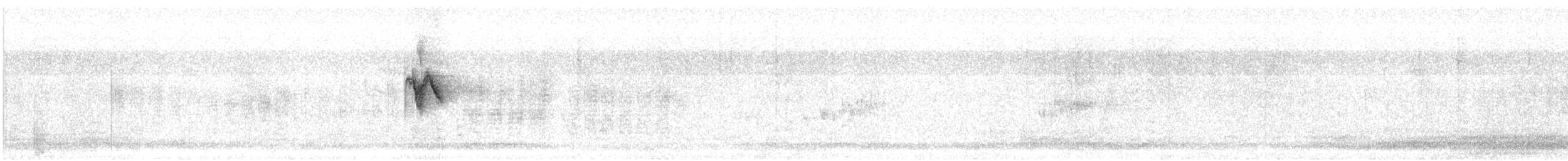 konipas luční (ssp. iberiae) - ML553933511