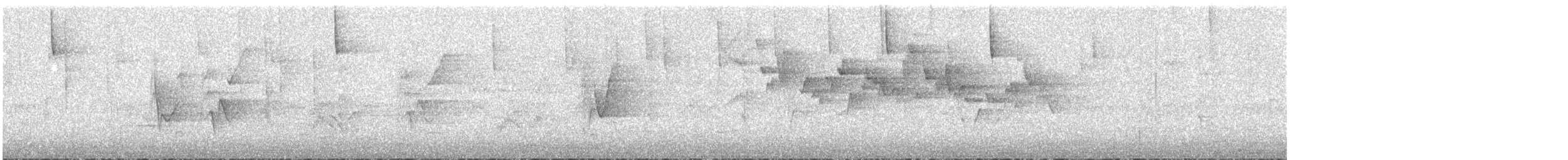 Віреон коста-риканський - ML554000401