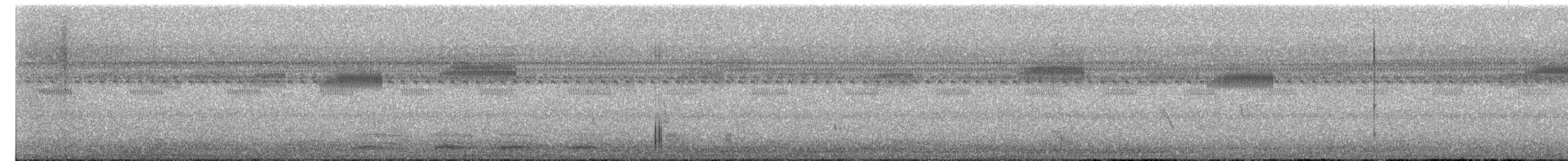 Mangrovekuckuck - ML554012481