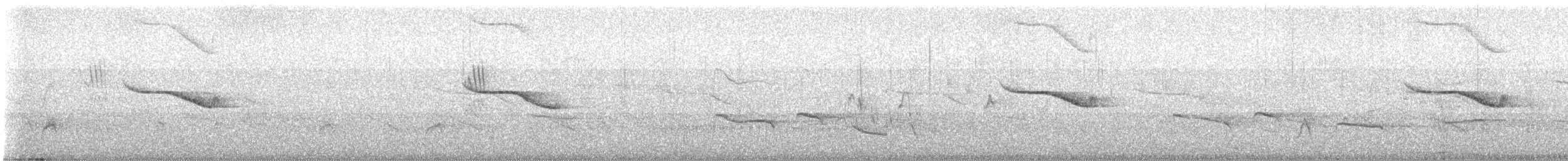 Breitspiegel-Nachtschwalbe - ML554019011