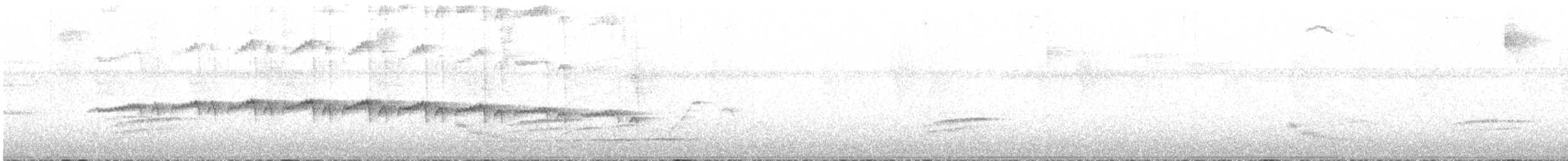 Мурав’янка-куцохвіст плямиста - ML554025361