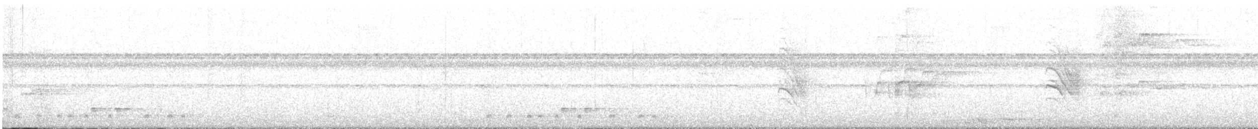 Troglodyte chanteur - ML554025521