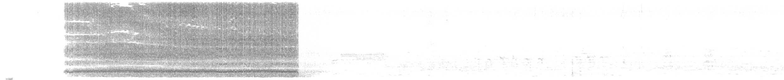 graveugle (floridana) - ML554066641