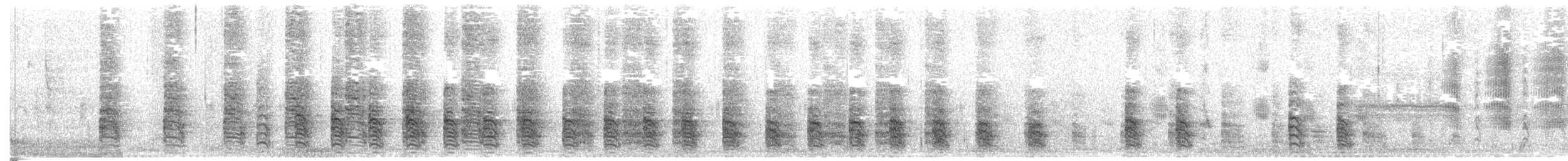 kongerikse (elegans) - ML554066941