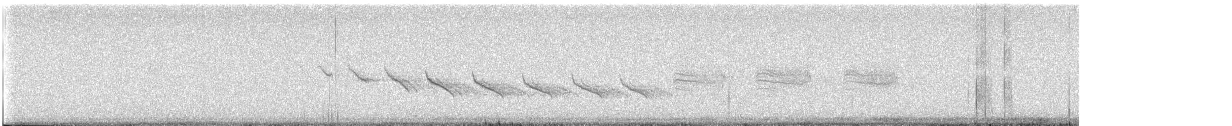 Canyon Wren - ML554071611