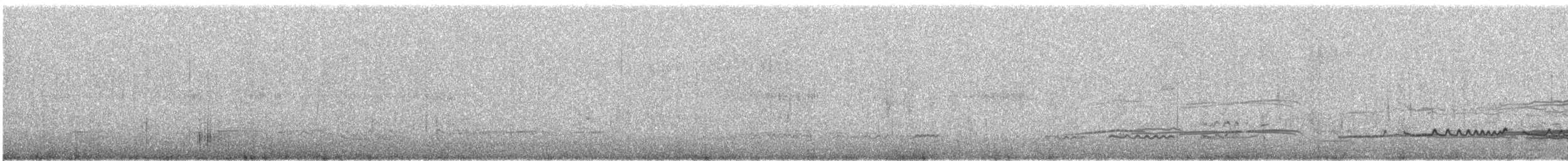 Whimbrel (Hudsonian) - ML554098001