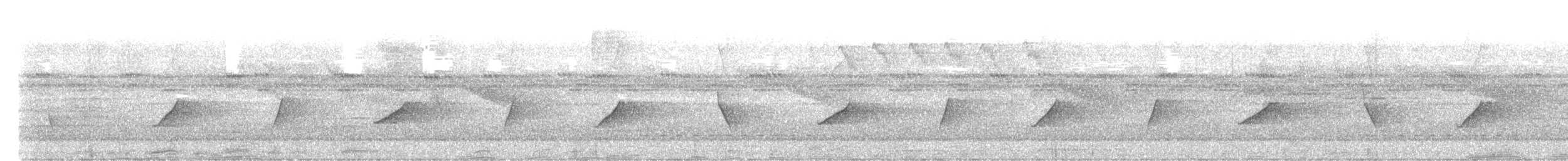 Kısa Kuyruklu Ardıçesmeri - ML554116121