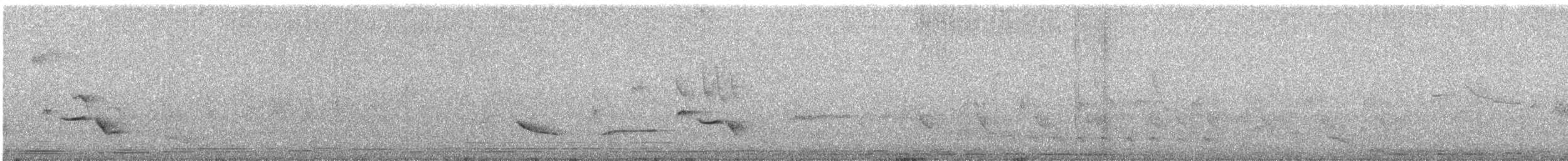 Common Iora - ML554118251