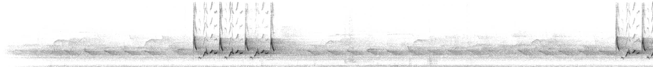 Поплітник каролінський - ML554130471