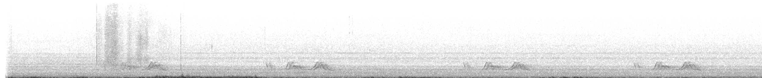 Chuck-will's-widow - ML554168621