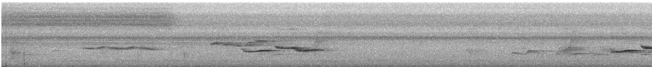 White-tailed Flycatcher - ML554220741