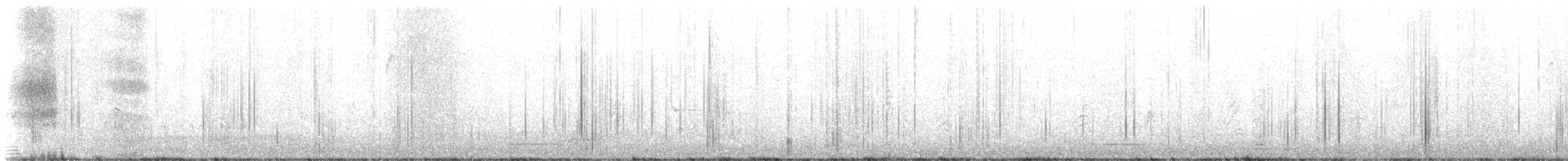 House Finch - ML554373561