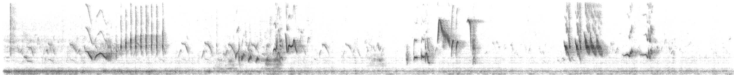 hekkskvett (galactotes gr.) - ML554384511
