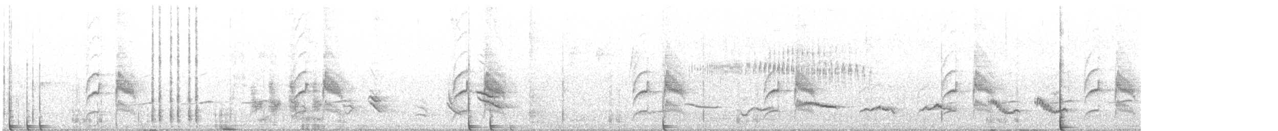 カタジロアマツバメ - ML554433621
