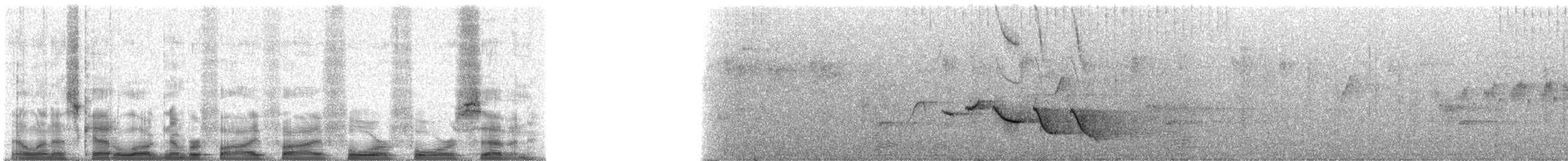 Sumichrast's Wren - ML55447