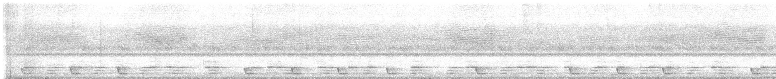 Large-tailed Nightjar - ML554530261
