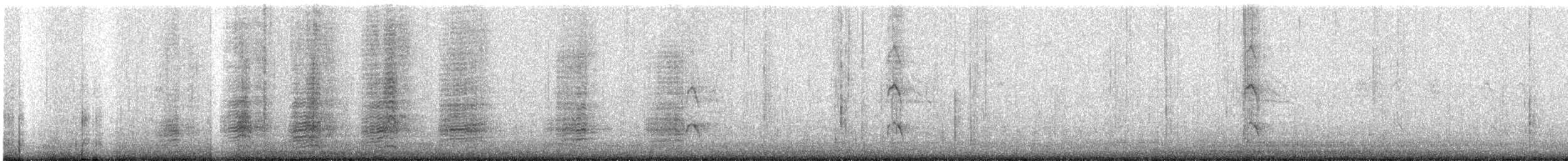 Зондский чирок - ML554532571