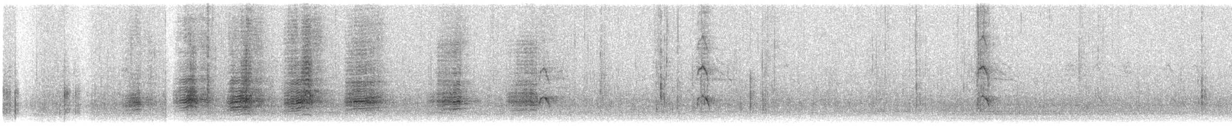 Sunda Teal - ML554533351