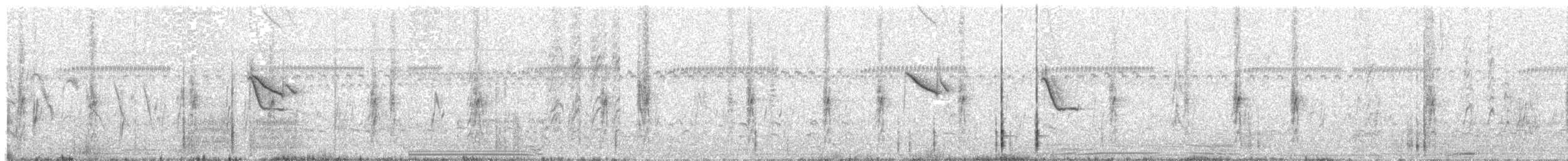 Tawny-bellied Seedeater - ML554542071