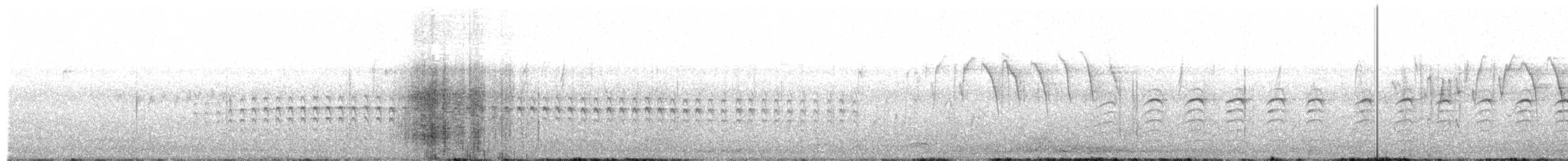 Пухохвіст смугастий - ML554574801