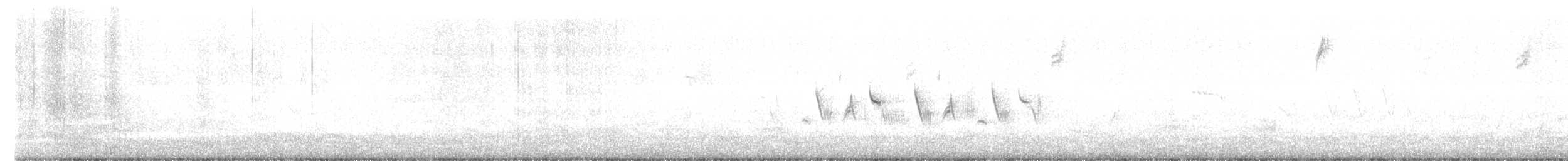 Bell's Sparrow (belli) - ML554625121