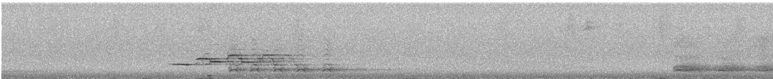 Дрізд-короткодзьоб плямистоволий - ML554657711