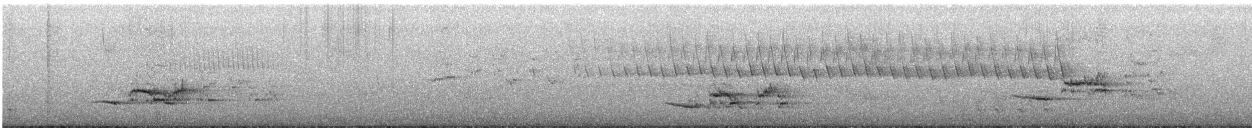 Дрізд-короткодзьоб плямистоволий - ML554660441