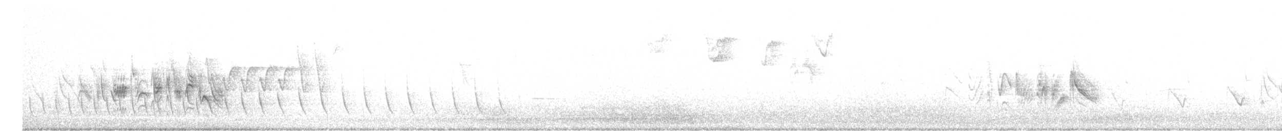 Viréo de Bell (arizonae) - ML554662661