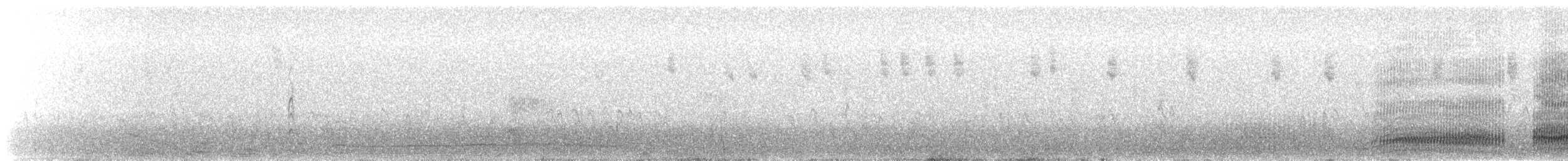 紐澳紅嘴鷗 - ML554669691