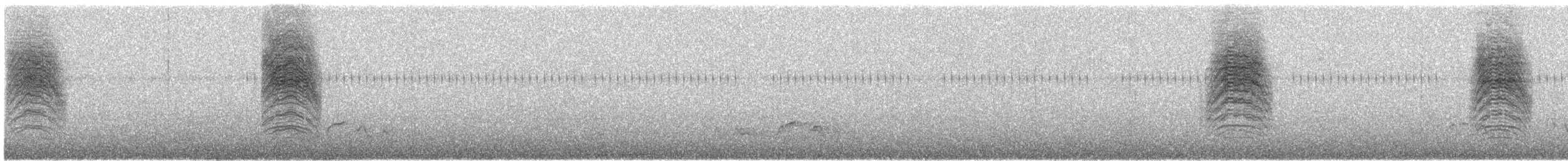 leskot yukatanský - ML554700381