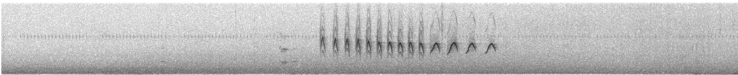 leskot yukatanský - ML554700391