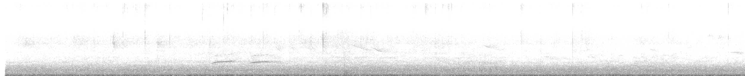 Weißbrustkleiber - ML554714341