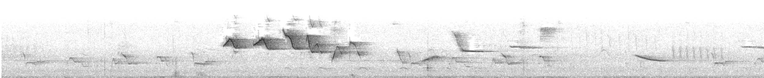 strømparula - ML554762041