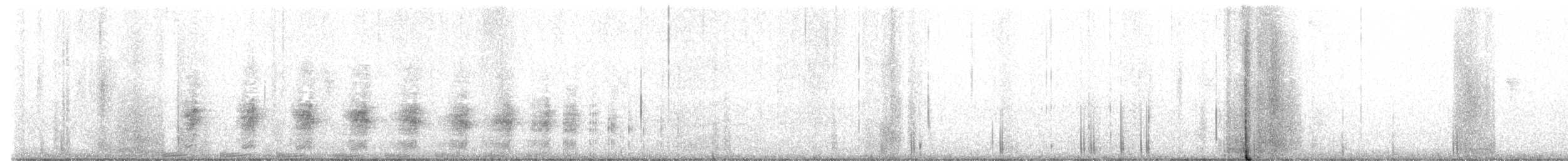 Râle de Virginie - ML554765911