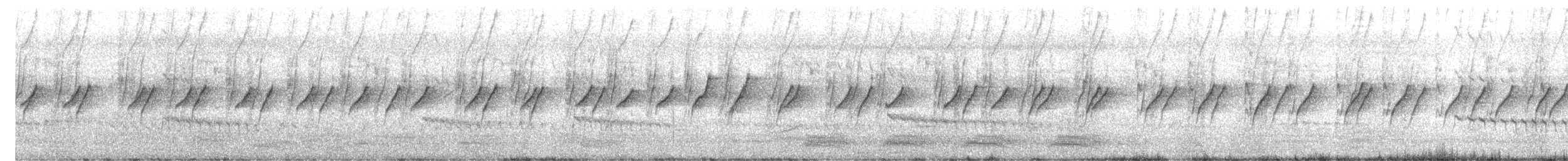 צופית סגולה - ML554819191