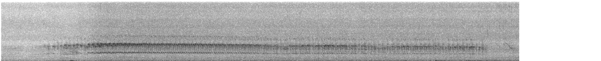 Black-tailed Crake - ML554828751
