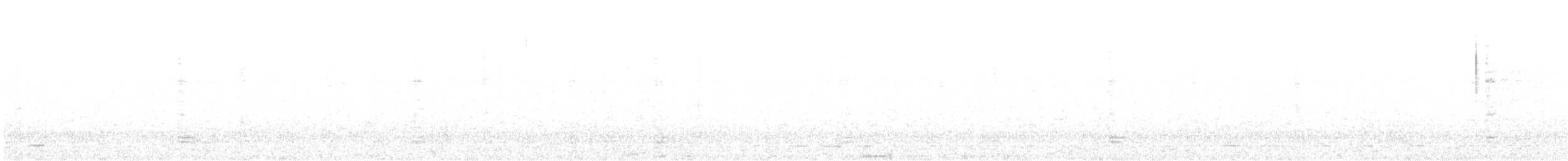 Североамериканский сыч (acadicus) - ML554949361