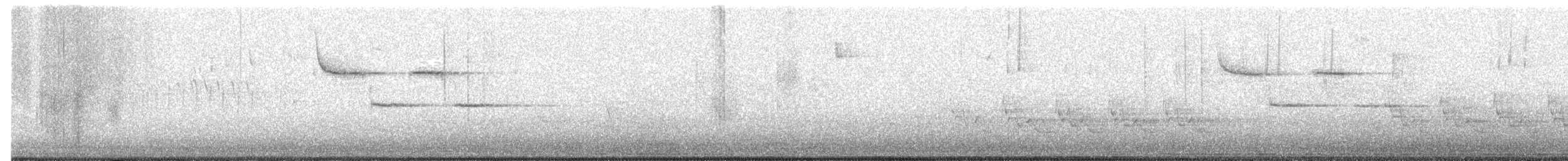 Поплітник каролінський - ML554957031