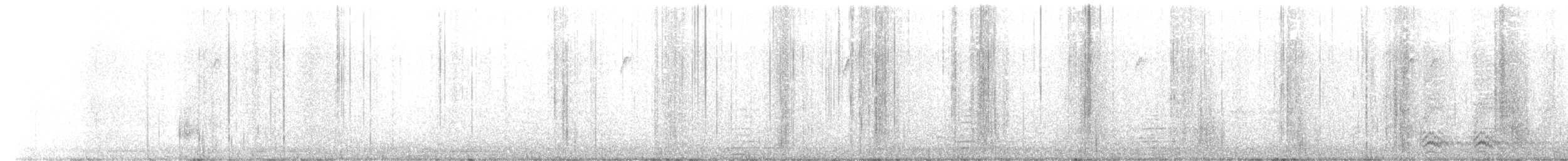 vrána/krkavec sp. - ML554987081