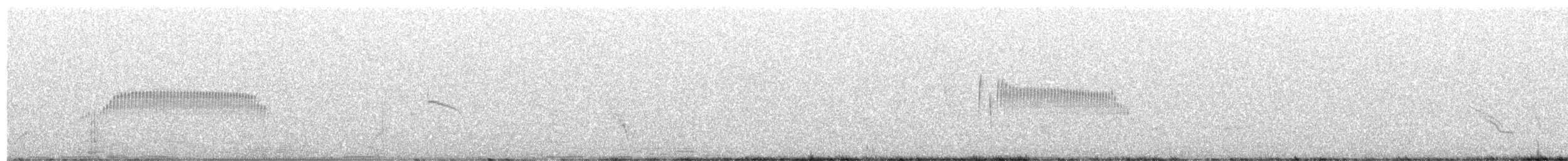 Торілон жовтодзьобий - ML554989621