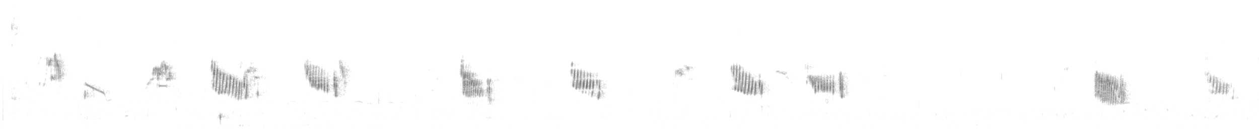 Txoriandre pispoleta mediterraneoa - ML555026251