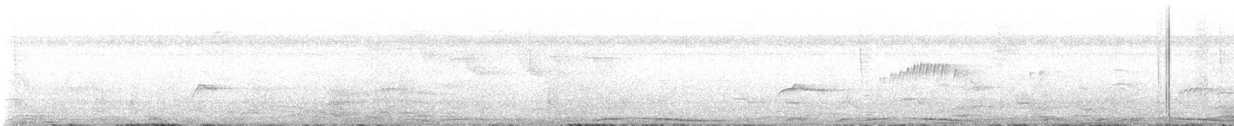 holub neotropický - ML555135421